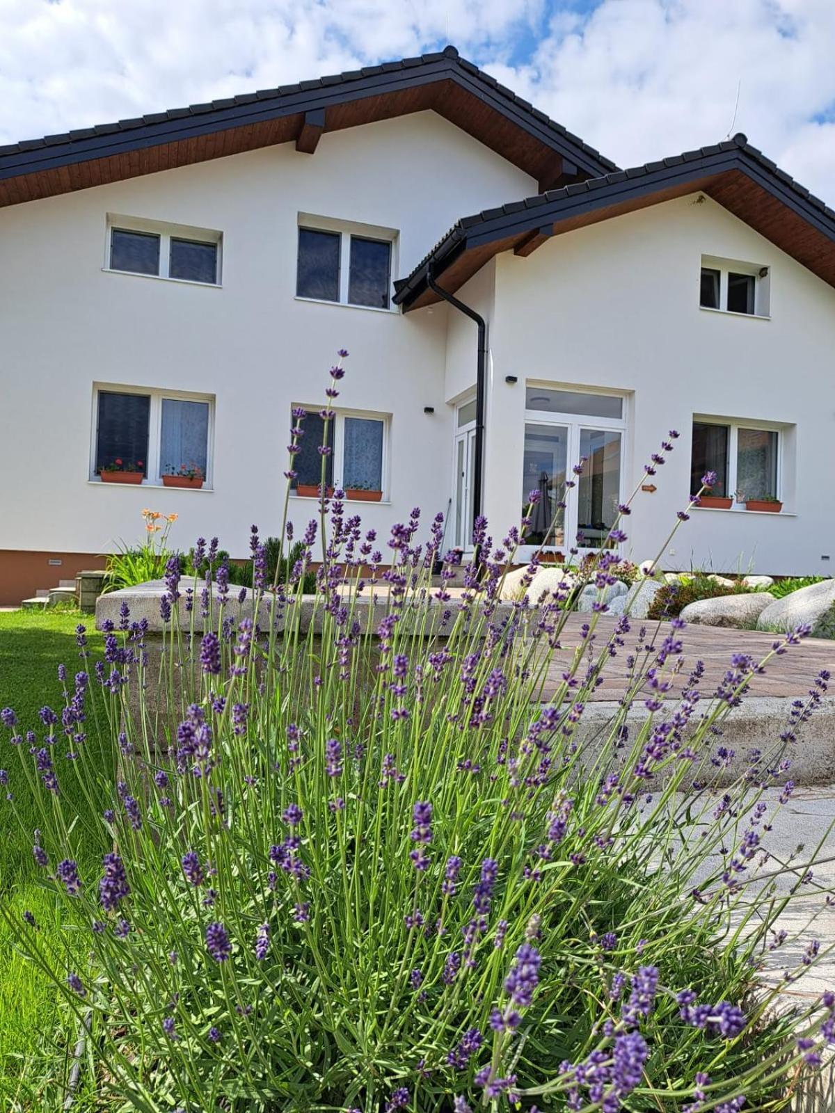 Ziar Apartmany 43 Extérieur photo